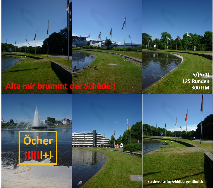 Alta mir brummt der Schädel