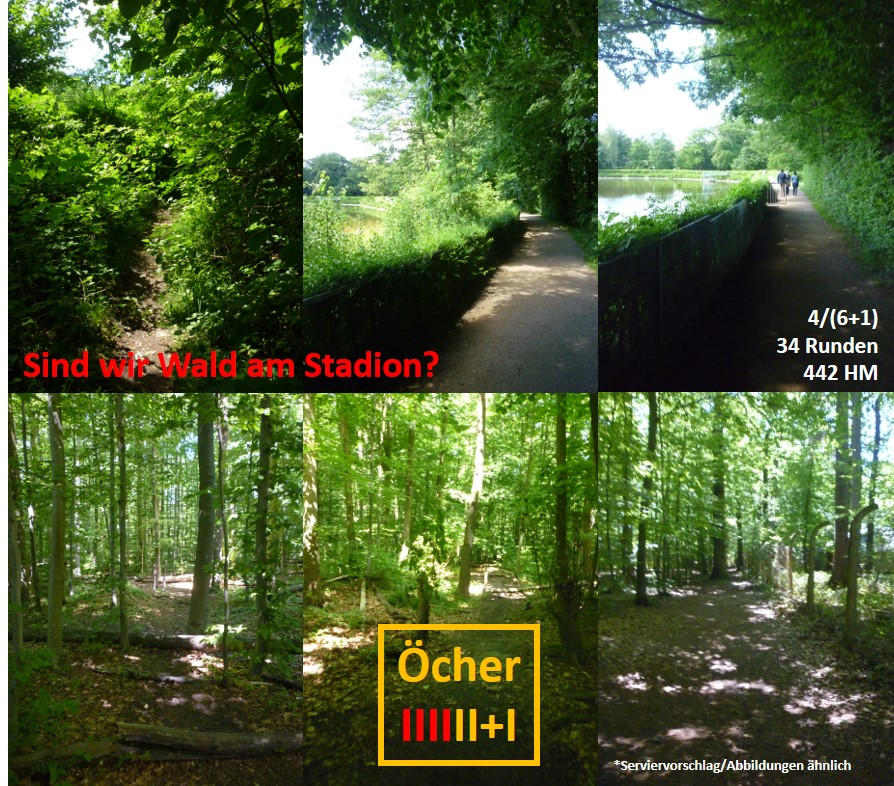 Sind wir Wald am Stadion